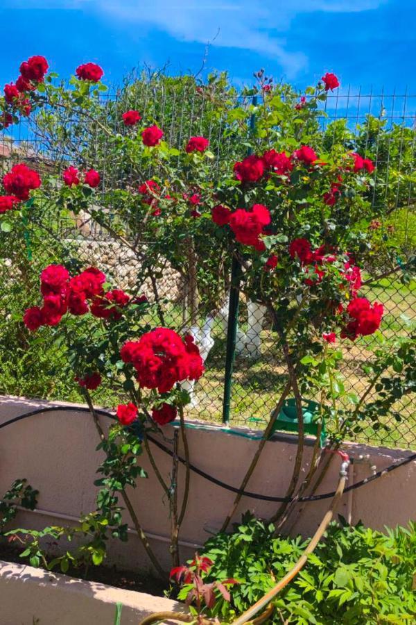 Artemis Superb 2 Bedroom Apartment 700 M Away From The Beach Minia Екстер'єр фото