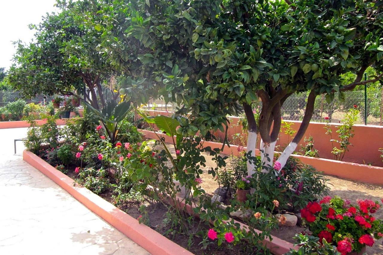 Artemis Superb 2 Bedroom Apartment 700 M Away From The Beach Minia Екстер'єр фото